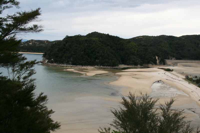 Nieuw-Zeeland 2011 - 1037